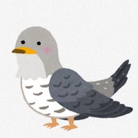 かっこう 茶話会