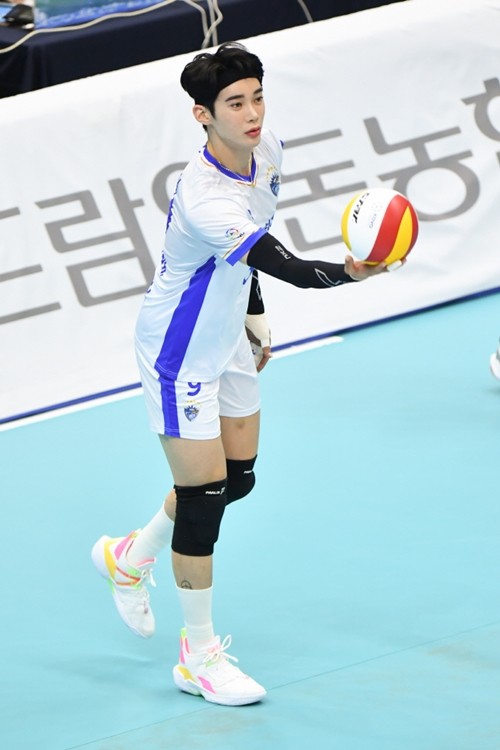 バレーボール(プロ選手が、使っていた