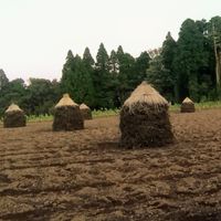第3回小出義雄杯八街落花生マラソン