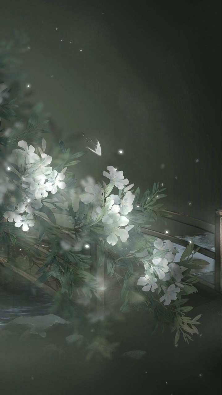วารสารวสันต์นิรันดร์กาล ⌜ ❨ โรลจีนโบราณ ❩。