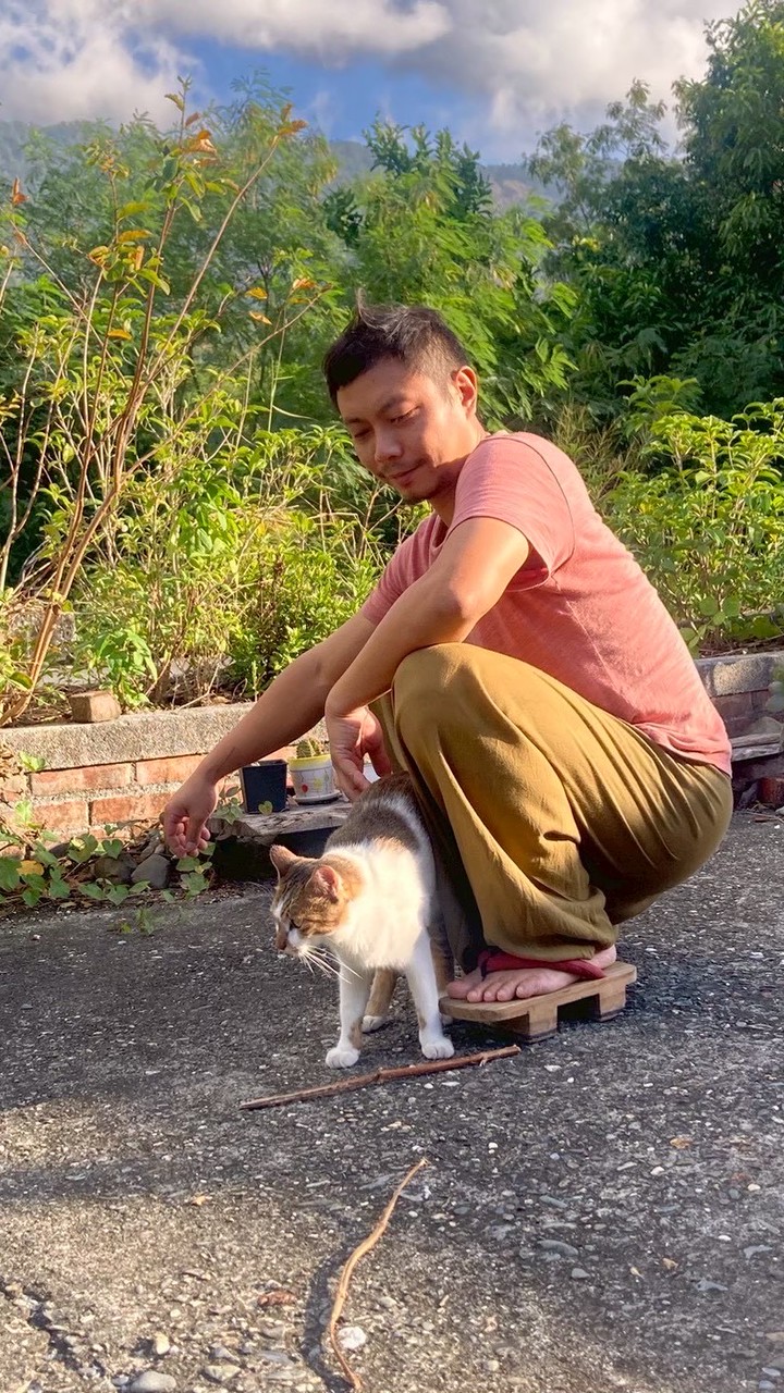 鄭皓《排正推拿》