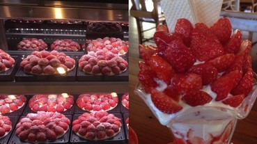 草莓控看過來！日本「草莓之里」甜點種類超多 旅遊一次嚐遍大呼過癮！