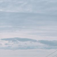 あつまれ神の森