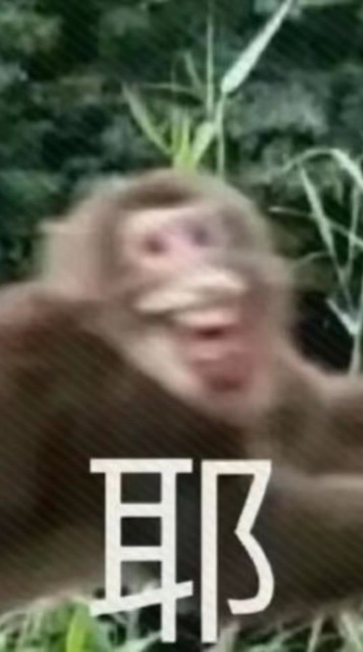 604馬猴部落🐒