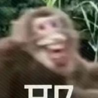 604馬猴部落🐒