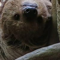 愚痴ろう！相談乗るよ！雑談しよ！