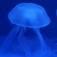 まだまだ沈む。