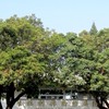 胸腔Hiking Lovely健走團