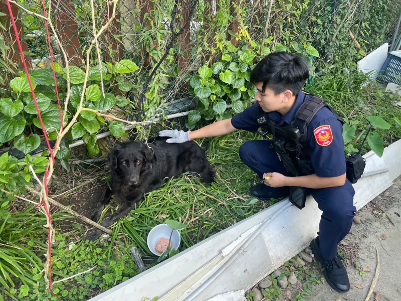 龜山警助黑狗脫困