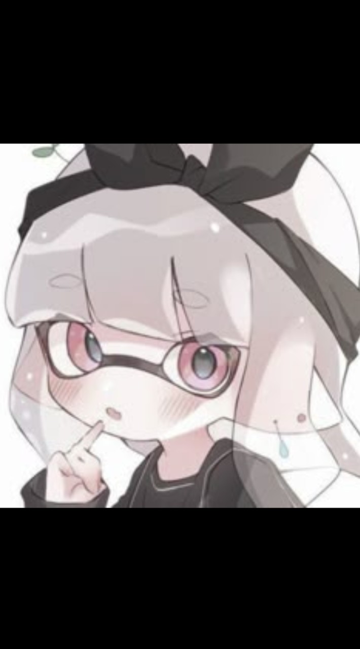 ˚*.☆スプラ民の集い.ᐟ.ᐟ🫟ᔦꙬᔨ🫟✩.*˚