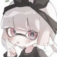 ˚*.☆スプラ民の集い.ᐟ.ᐟ🫟ᔦꙬᔨ🫟✩.*˚