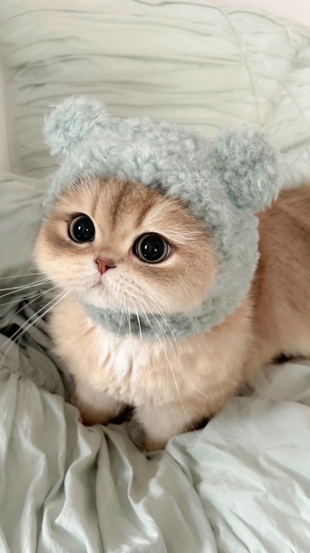 采寧好物團購😻