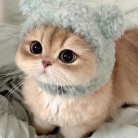 采寧好物團購😻
