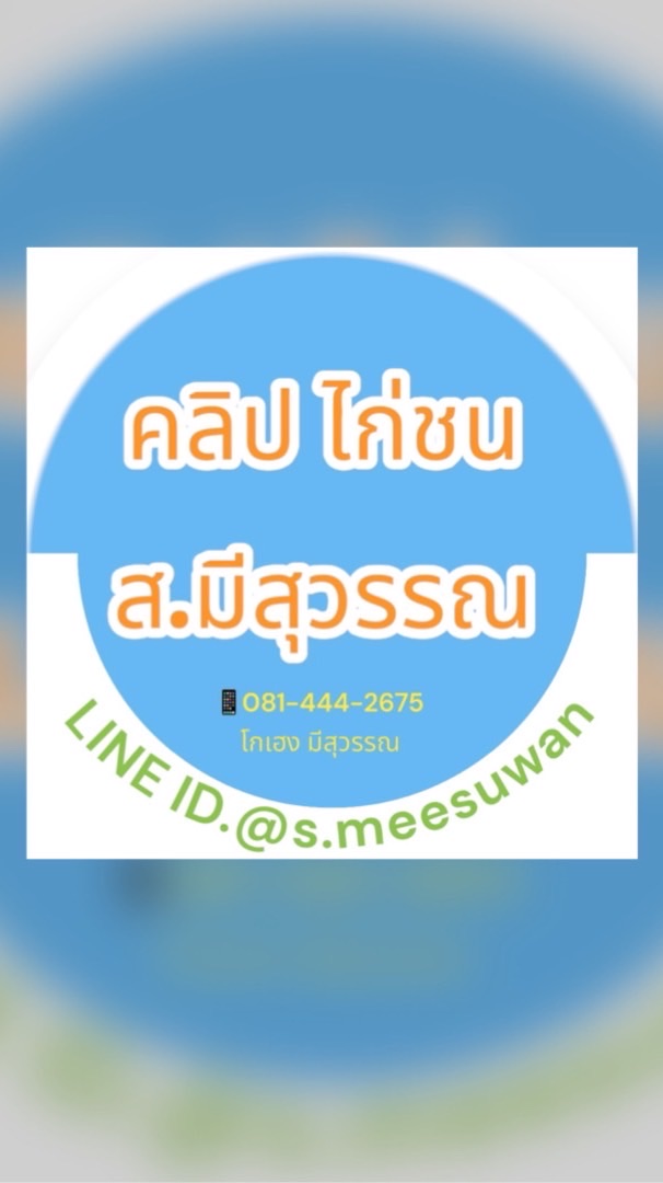 คลิป ไก่ชน ไลฟ์สด ส.มีสุวรรณ กลุ่ม1