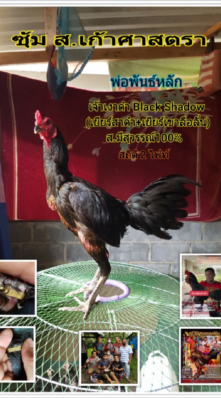FC ซุ้ม ส.เก้าศาสตรา