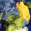 ありがとうの花束💐