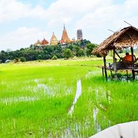 ที่พัก ที่เที่ยว ทั่วไทย