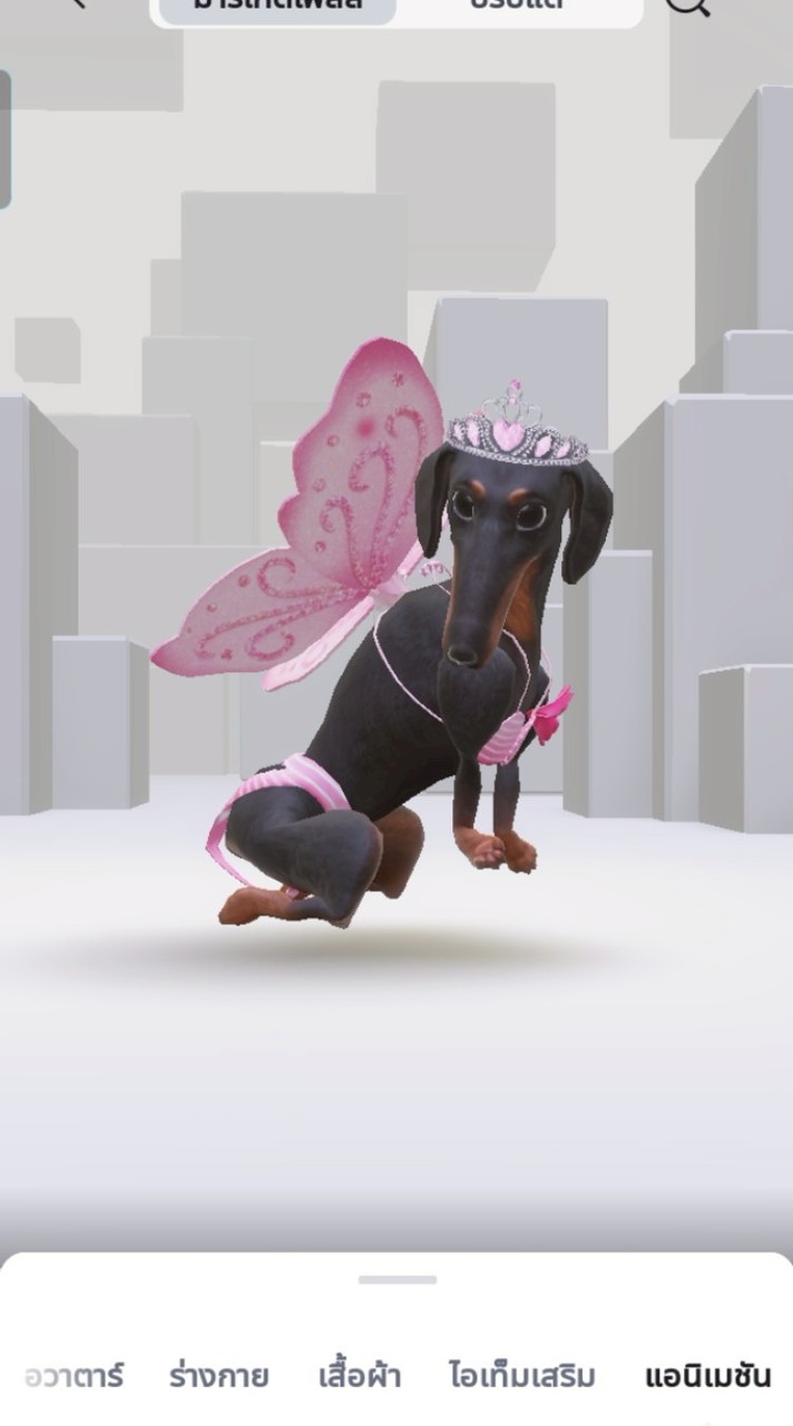 องค์หญิงกำมะลอ