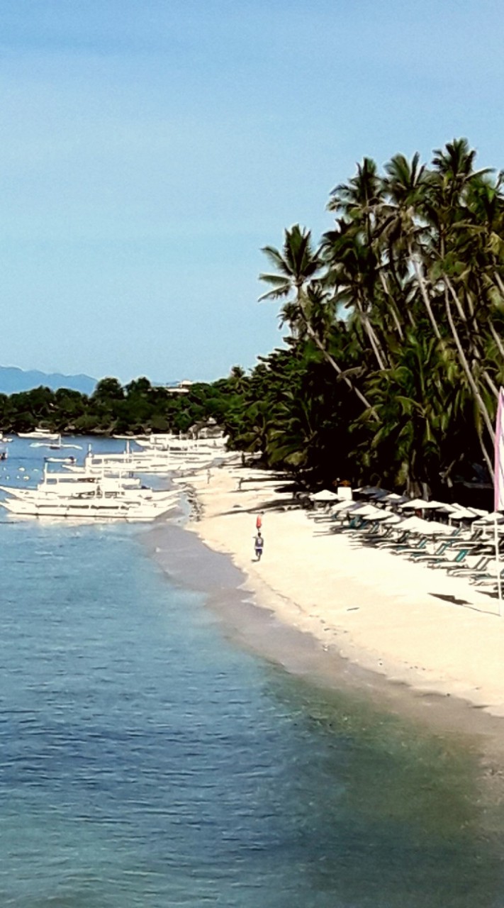 丫孟の好物頻道