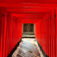 クンダリーニ症候群・覚醒不調