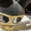 通信高校生と雑談したい‼️