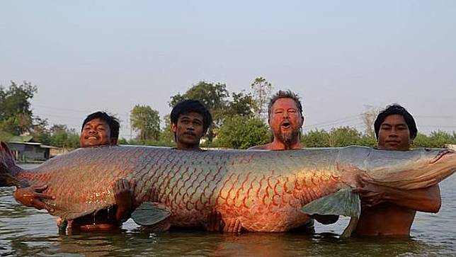 Pemancing Tangkap Ikan 'Monster' Arapaima di Thailand