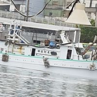 長虹深海魚