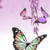鬼滅の刃の蝶屋敷好き集まれー❀ εїз ❀
