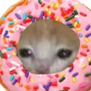 ร้านโดนัท🍩 สาขาไลน์