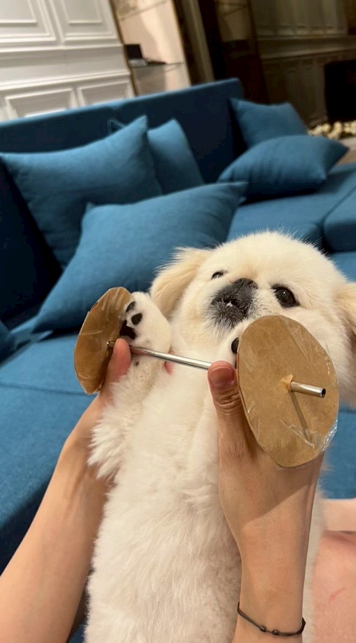 なんでもあり⁉️緩也〜‼️‼️‼️