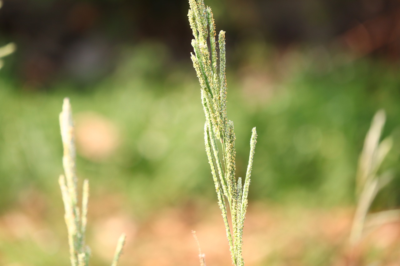 它會是年度最佳 Vlog 相機嗎？Canon EOS M50 評測