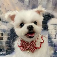 寵愛寶貝飾品