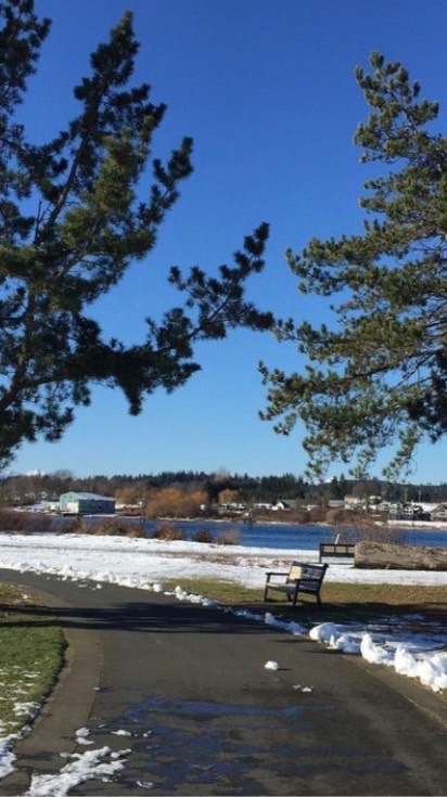 加拿大紐芬蘭互助群Newfoundland St.John stjohn