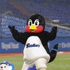 【酒飲みながら】東京ヤクルト応燕団
