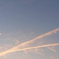 YN偏差値50未満の部屋