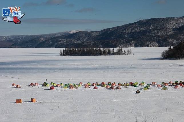 野生動物的的故鄉 釧路溼原蒼茫大地 @去旅行新聞網