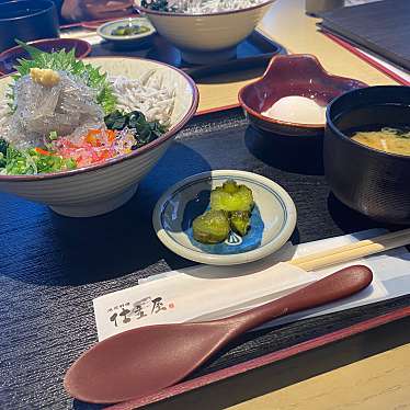 メニュー 仕立屋 鎌倉店 シタテヤ トウキュウカマクラテン 小町 鎌倉駅 魚介 海鮮料理 By Line Conomi