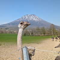【リニューアル】みんな集合！楽しく話しましょ😉