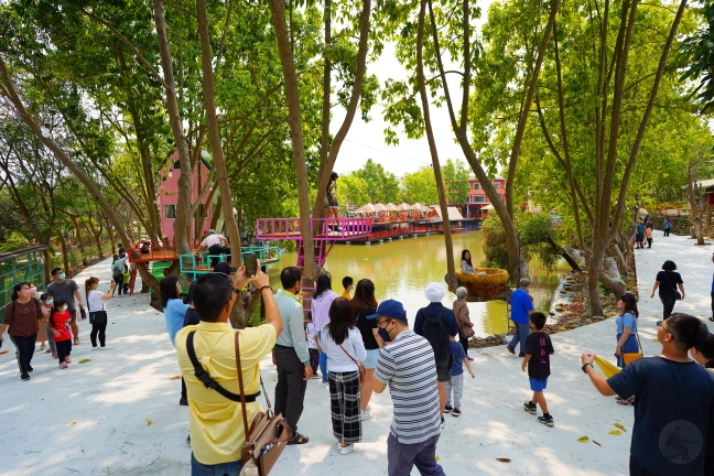 中部景點,斗六景點,斗六花旗木,近水樓台,近水樓台湖畔森林咖啡,近水樓台湖畔森林咖啡交通資訊,近水樓台湖畔森林咖啡停車場,近水樓台湖畔森林咖啡停車場花旗木,近水樓台湖畔森林咖啡門票,雲林IG打卡點,雲林景點,雲林網美景點,雲林花旗木近水樓台湖畔森林咖啡花旗木