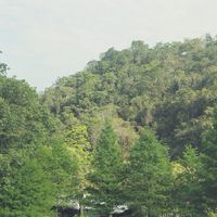 孕荷親密共學育兒