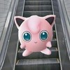 胖丁小代購 7/16-28東京連線🩵