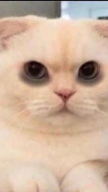 Apple meow