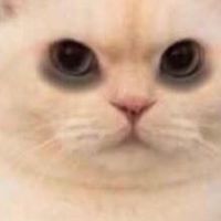 Apple meow