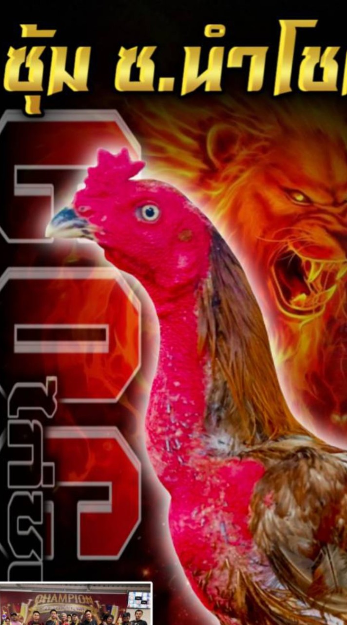 🏆🐓ซุ้ม ซ.นำโชค ขอนแก่น🐓🏆