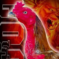 🏆🐓ซุ้ม ซ.นำโชค ขอนแก่น🐓🏆