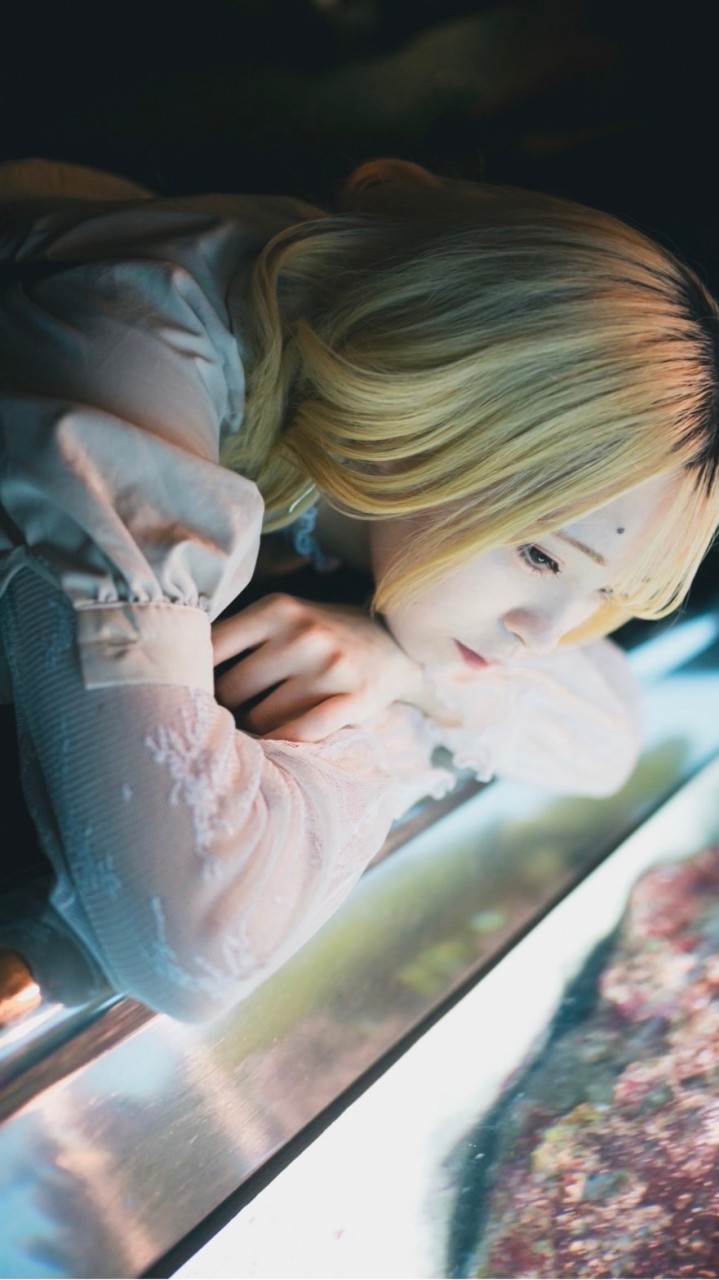 りほたろ。official fandom