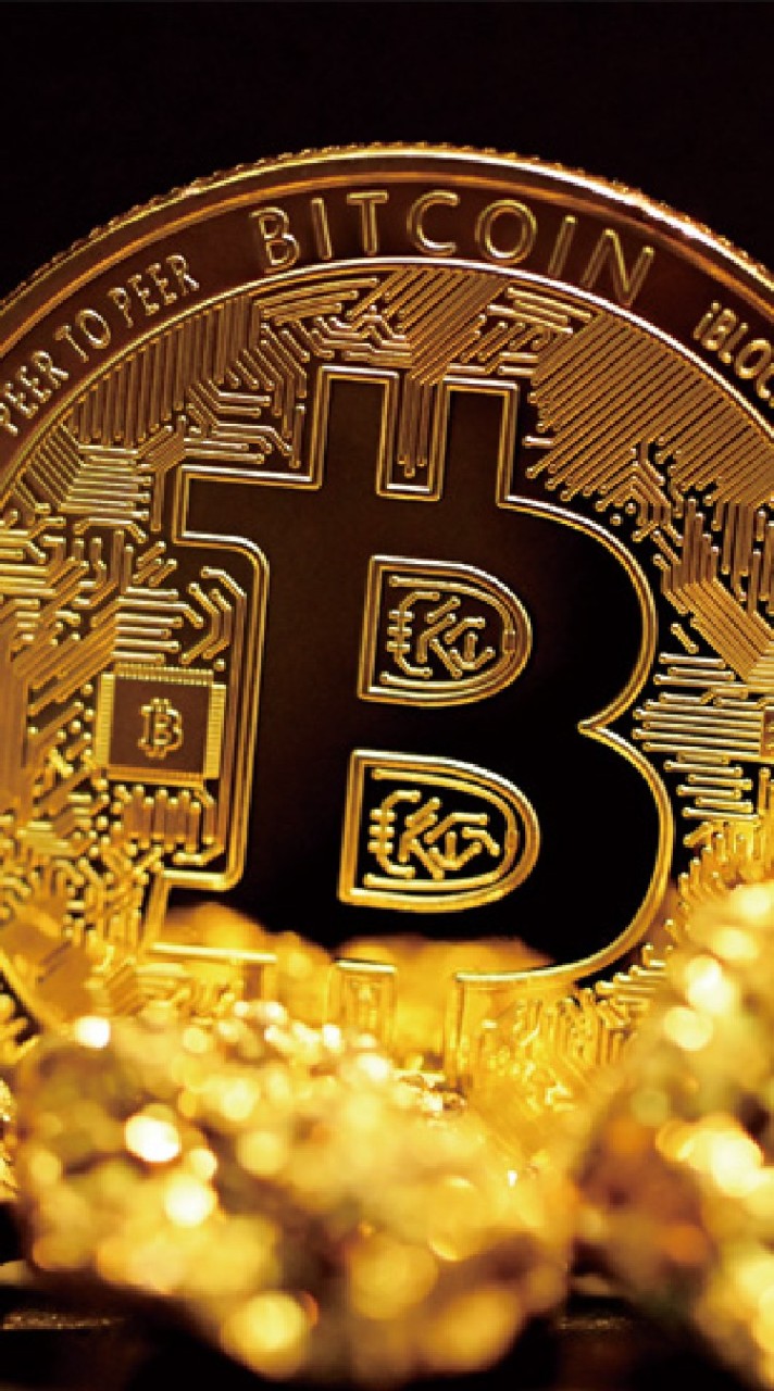 虛擬貨幣 Wolf bet 腳本群