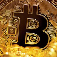 虛擬貨幣 Wolf bet 腳本群