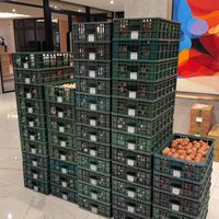 可麗都解決你蛋蛋哀傷