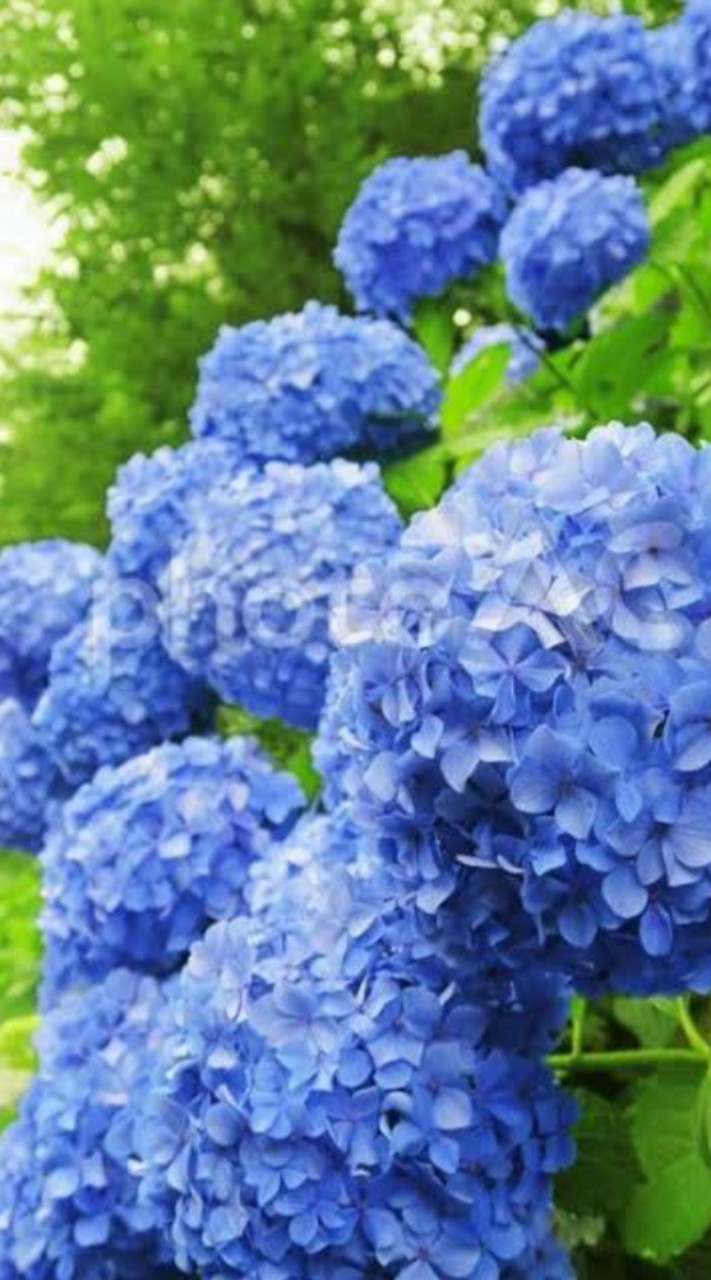 北九州近郊の30代~50代集まれ